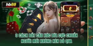 3 Cách Bắt Cầu Xóc Đĩa Cực Chuẩn Người Mới Không Nên Bỏ Qua