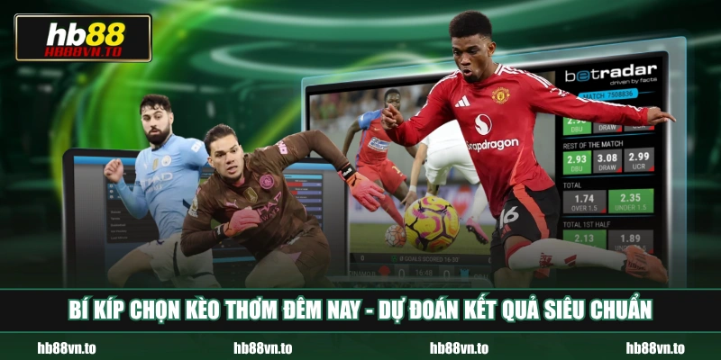 Bí kíp chọn kèo thơm đêm nay - Dự đoán kết quả siêu chuẩn