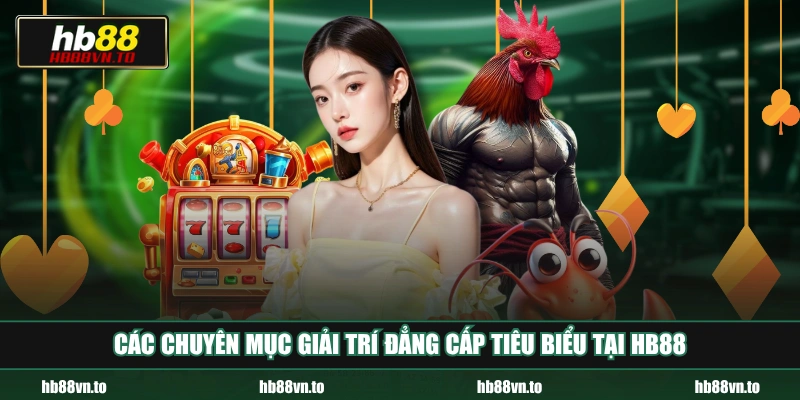 Các chuyên mục giải trí đẳng cấp tiêu biểu tại HB88