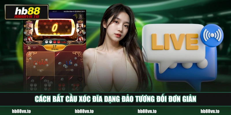 Cách bắt cầu Xóc Đĩa dạng đảo tương đối đơn giản
