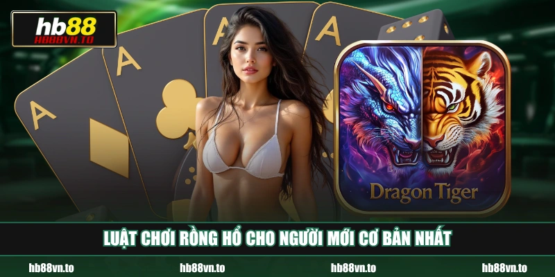 Luật chơi Rồng Hổ cho người mới cơ bản nhất