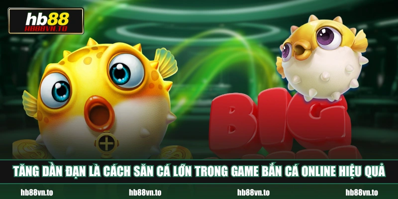Tăng dần đạn là cách săn cá lớn trong game bắn cá online hiệu quả