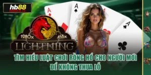 Tìm Hiểu Luật Chơi Rồng Hổ Cho Người Mới Để Không Thua Lỗ